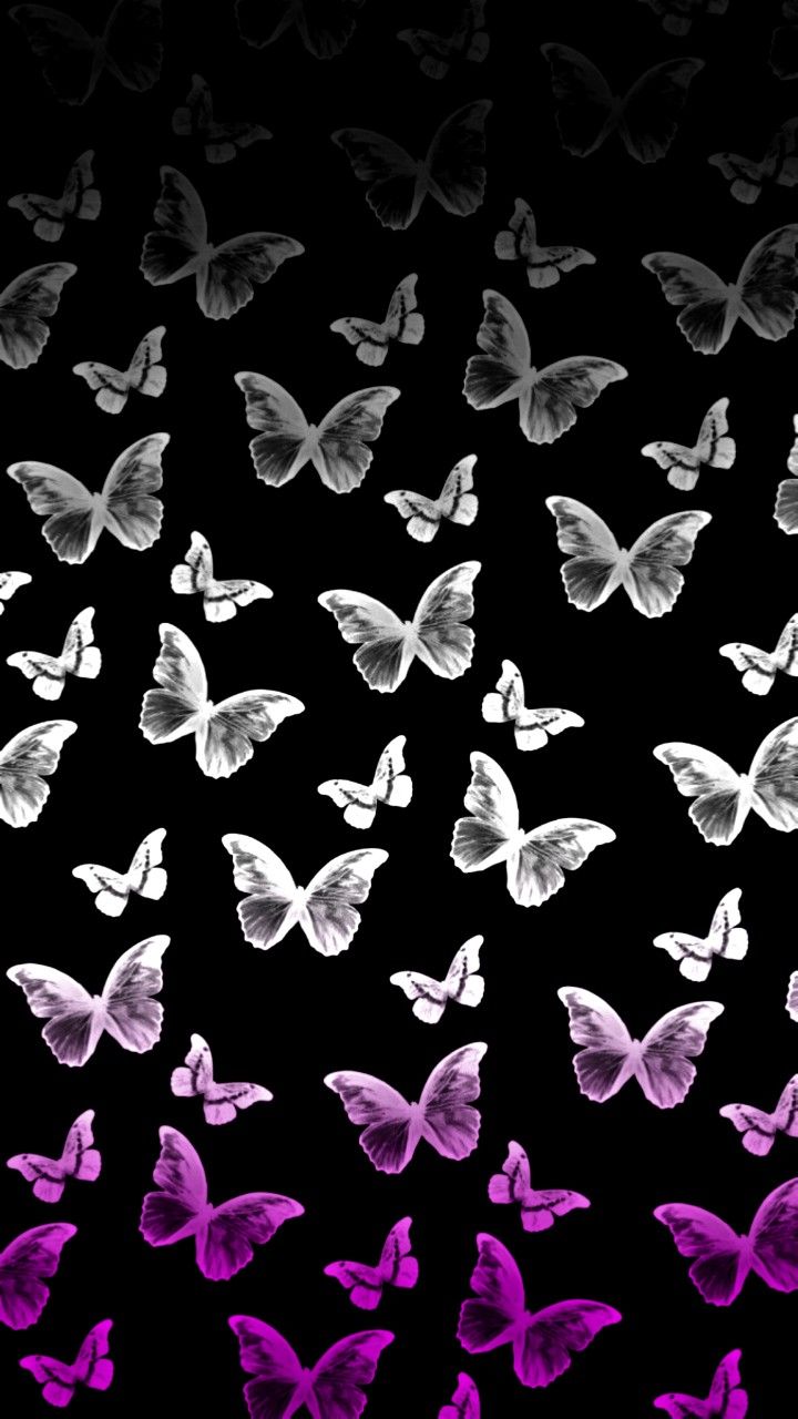 Asexual aesthetic wallpaper lockscreen