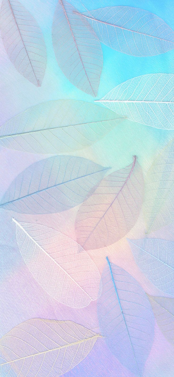 Pastel Blue Wallpaper For Your Phone