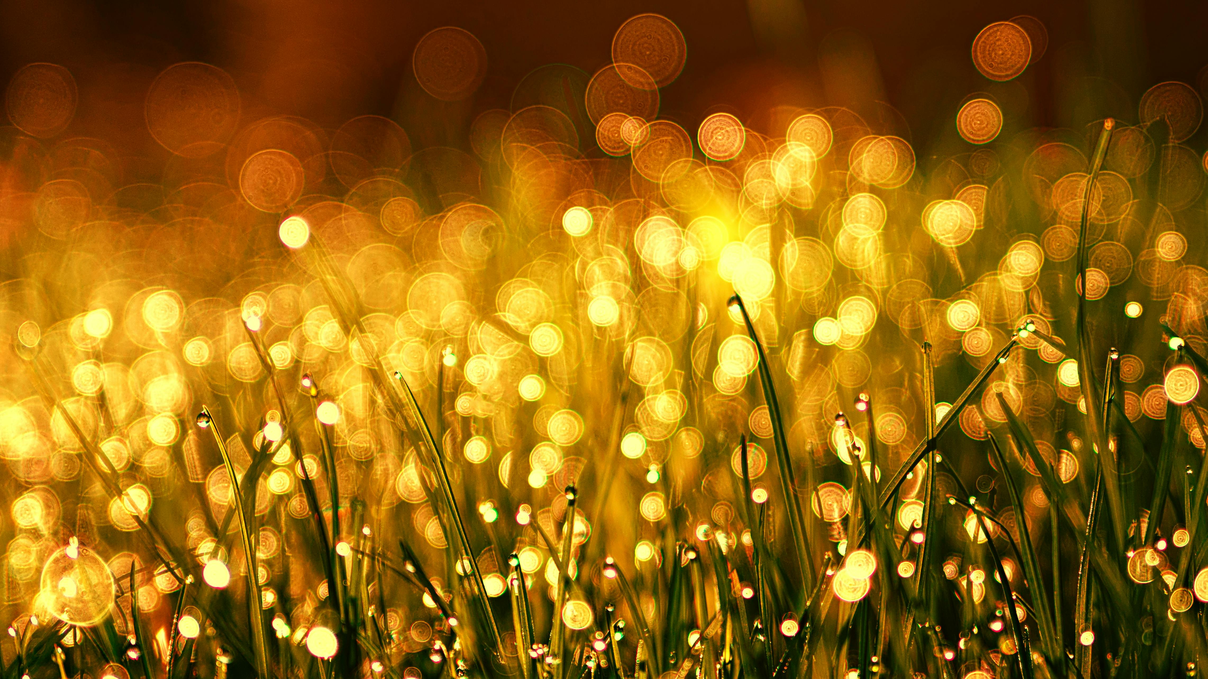 Warm Photo, Download The BEST Free