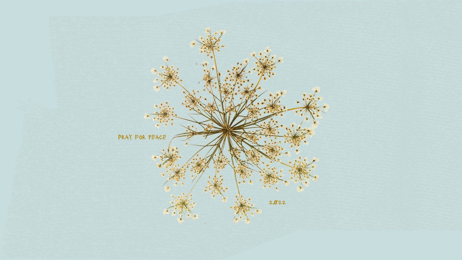 floral desktop wallpaper