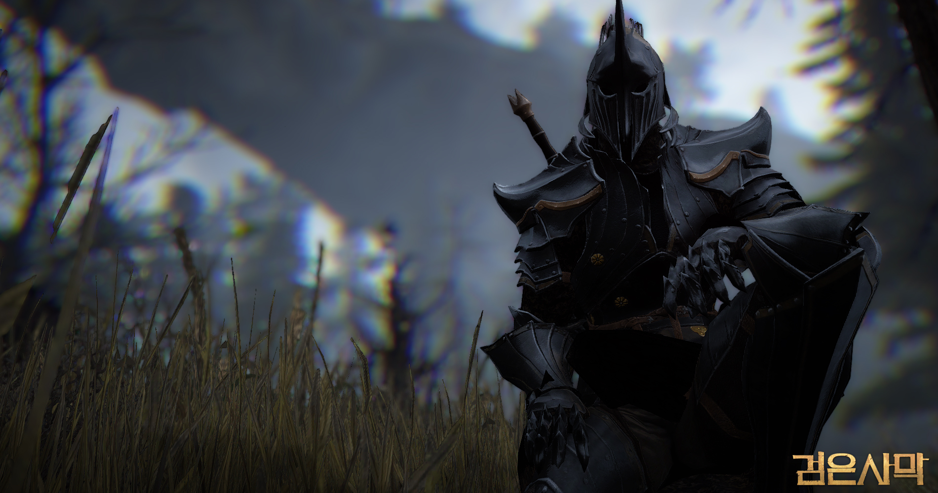 Warrior Black Desert Online