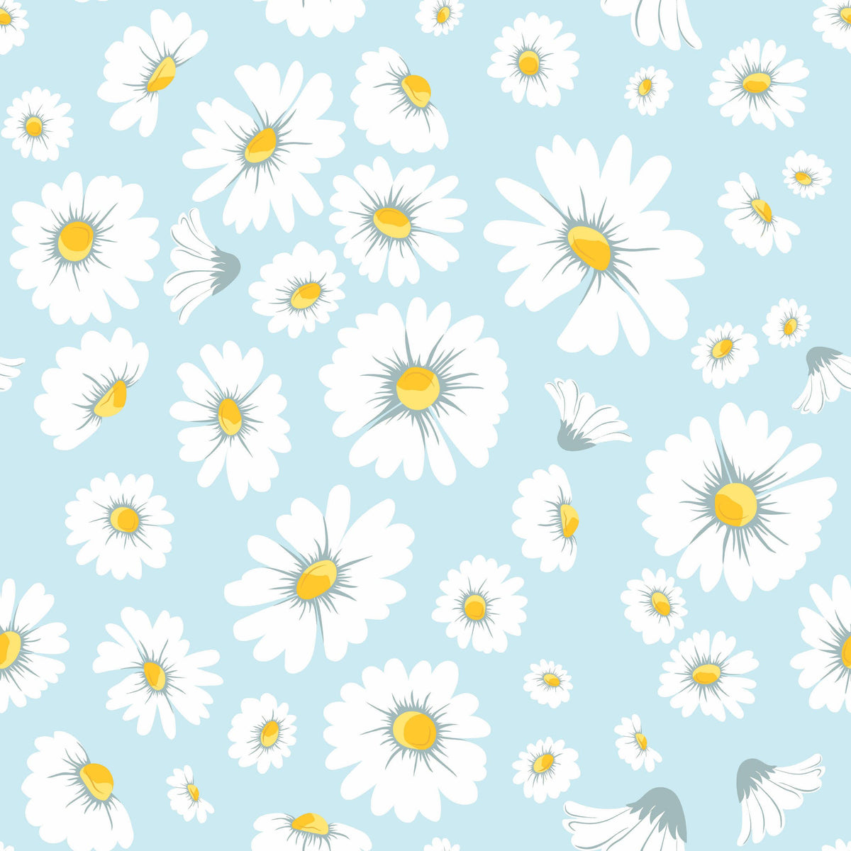 Daisy Bloom Wallpaper. Cute Floral