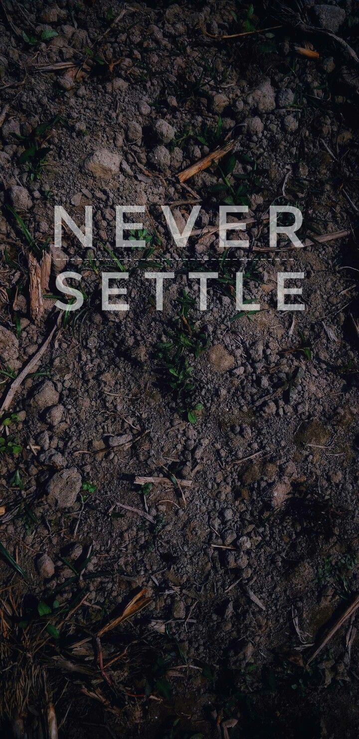 never settle by 1+.. 4k wallpaper