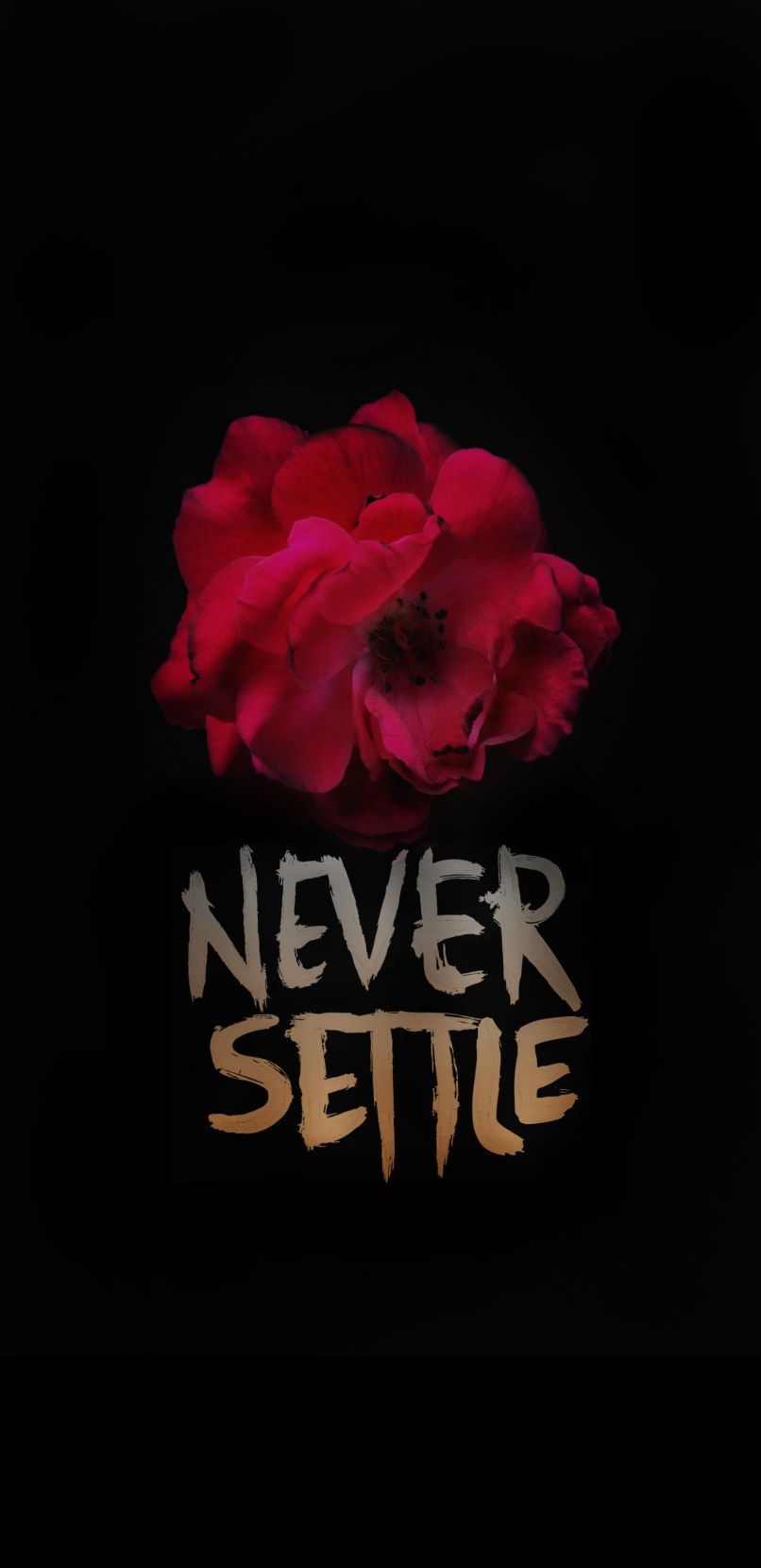 I made a WALLPAPER!!!NEVER SETTLE