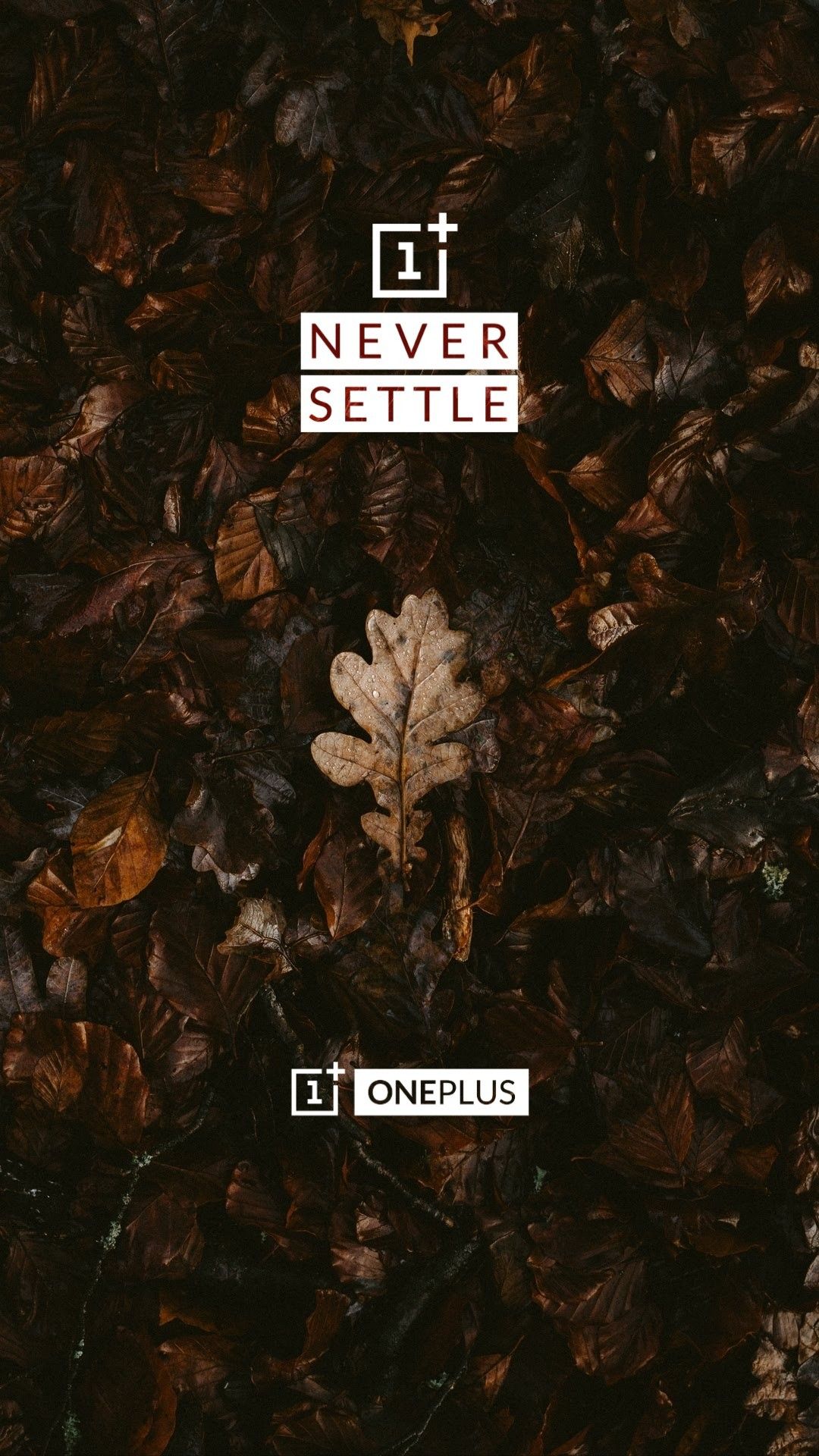 Oneplus wallpaper