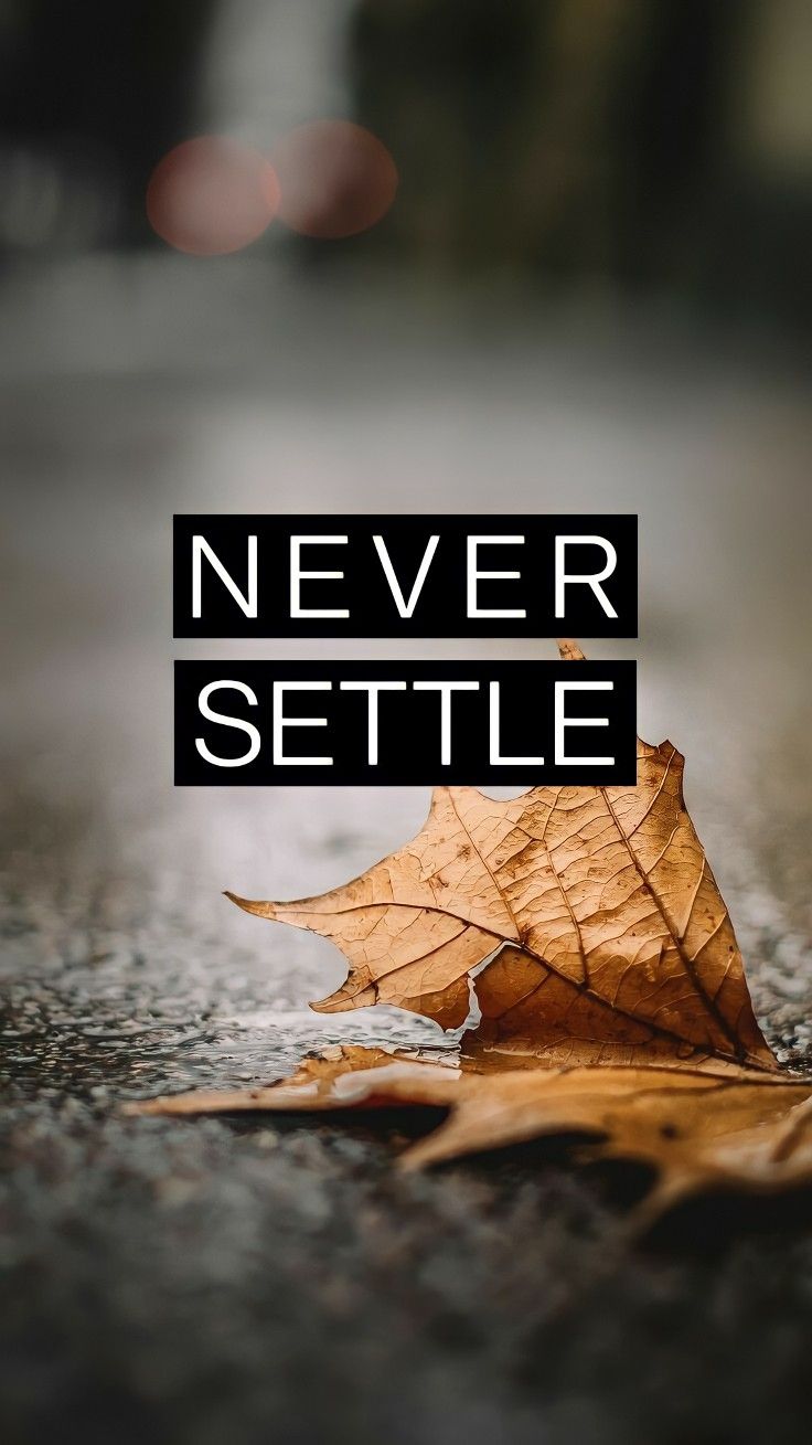 Never settle