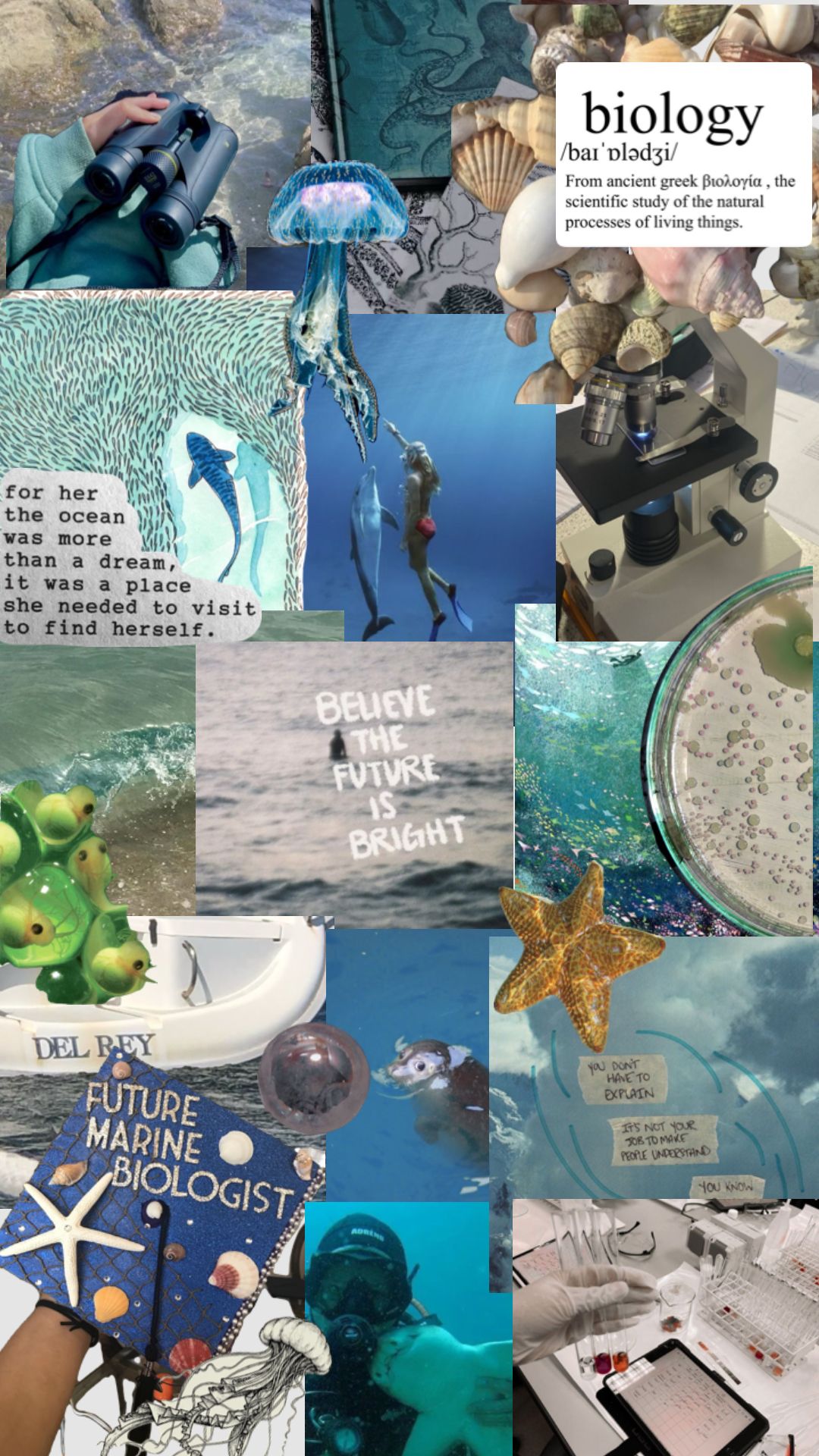 Marine biologist wallpapers wallpaper cave