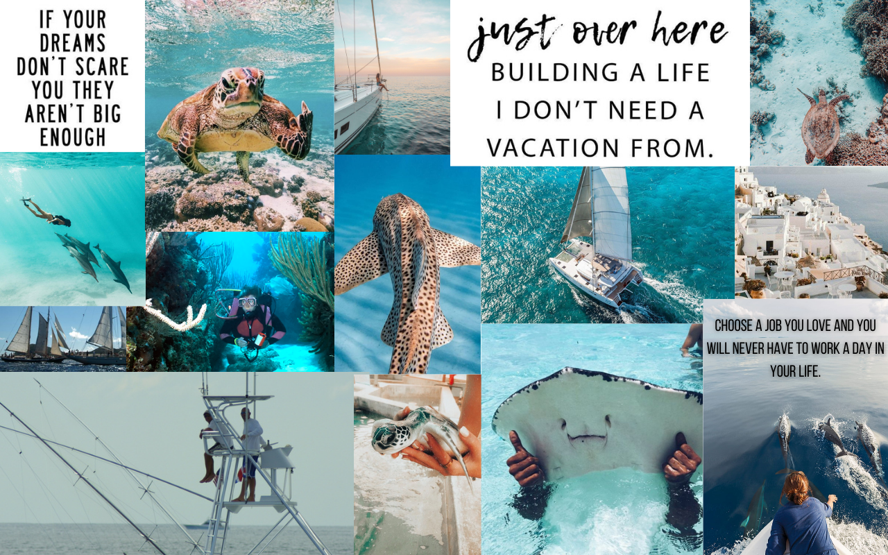 Marine Biology Vision Board
