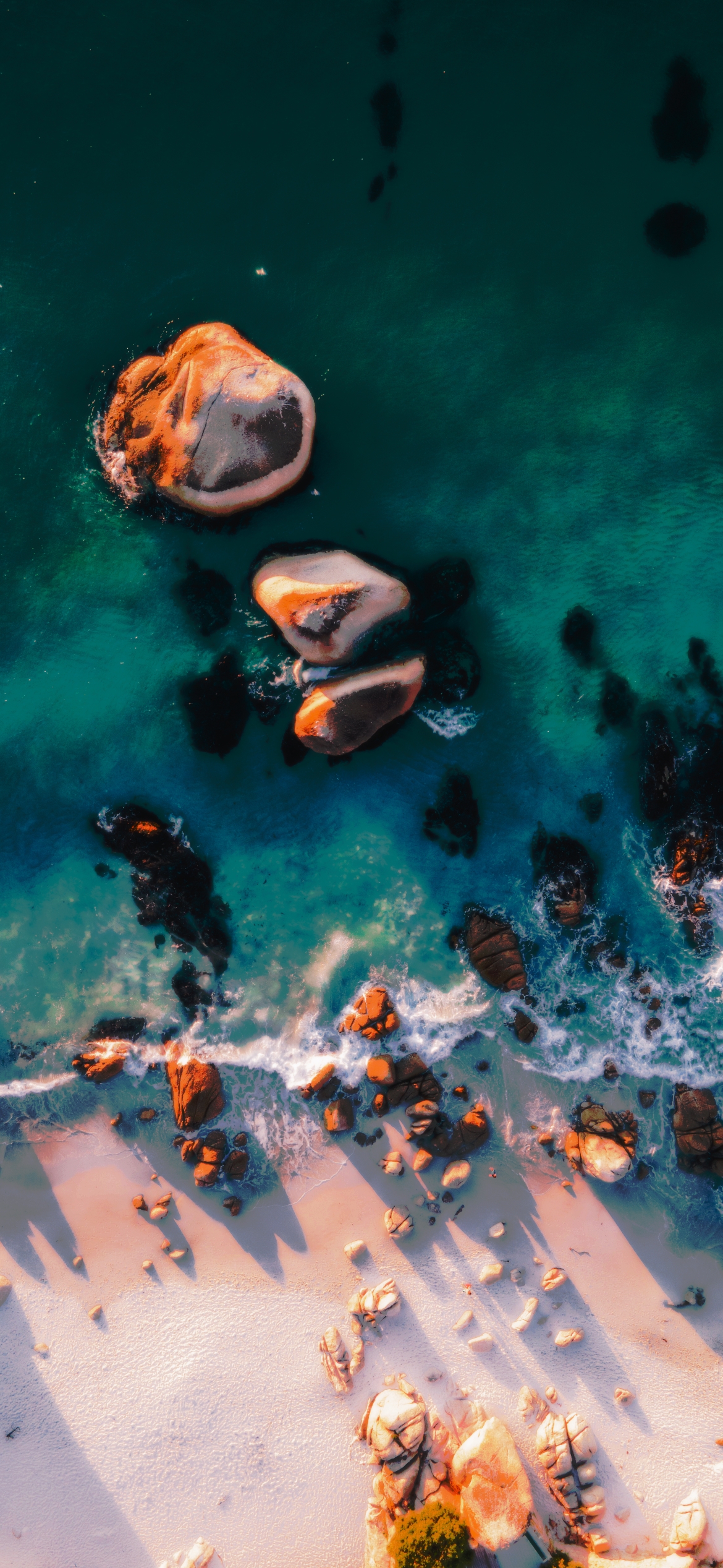 Wallpaper Water, Marine Biology