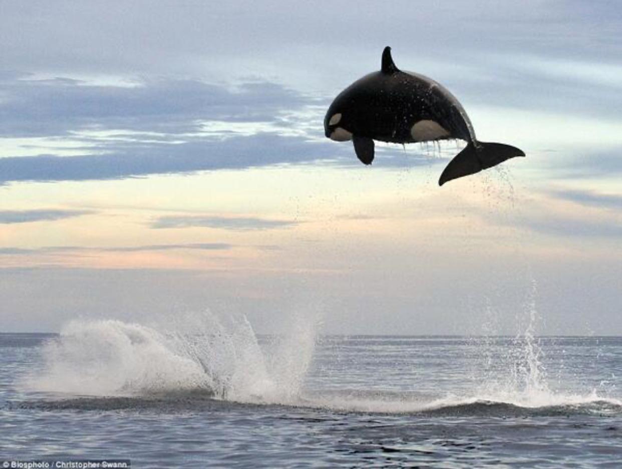 Nice 4K Wallpaper Image