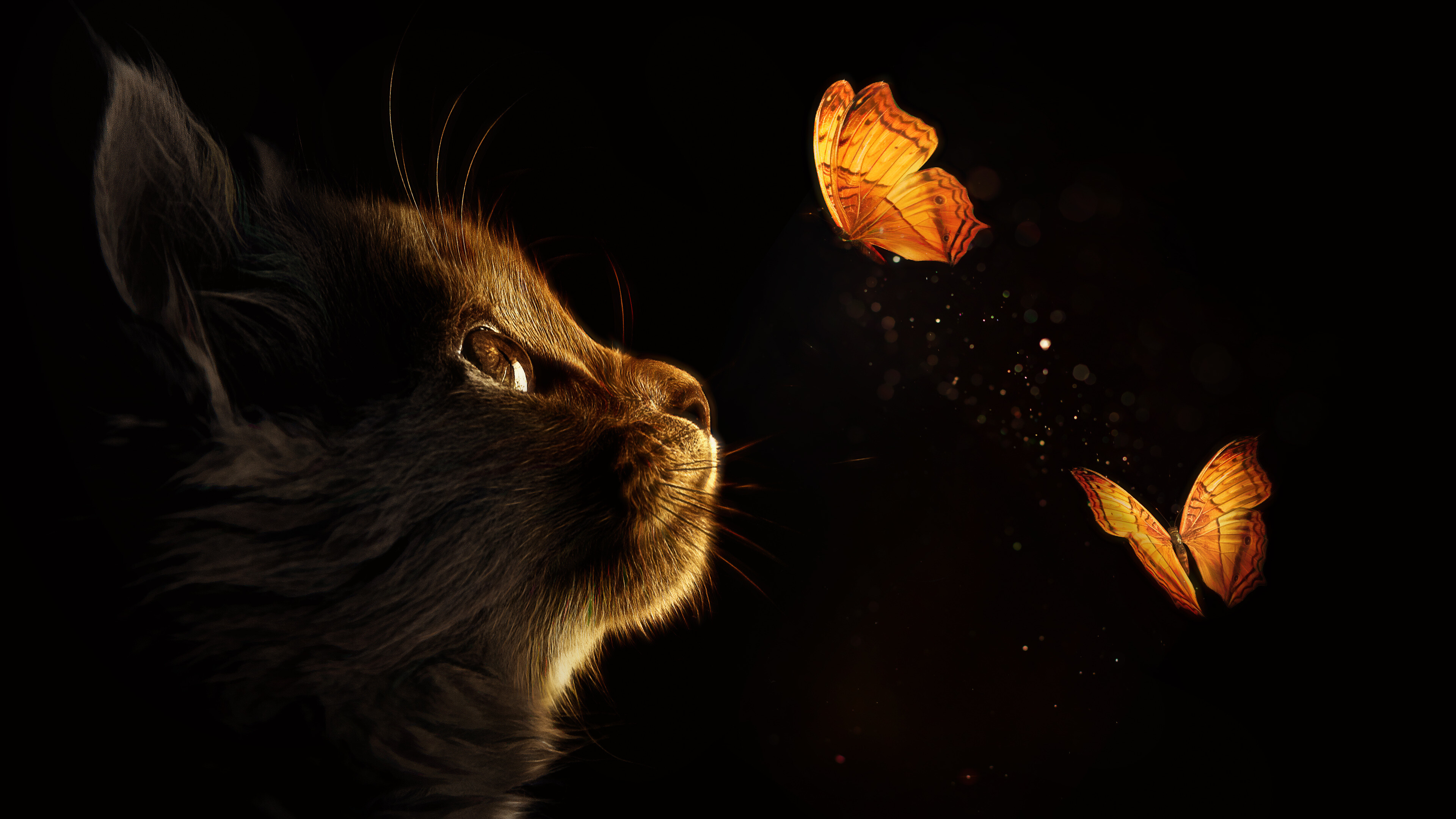 Butterfly Wallpaper