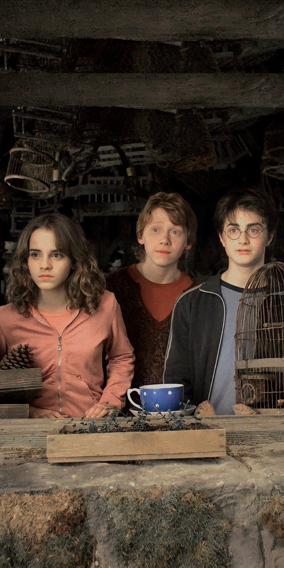 golden trio wallpaper aesthetic