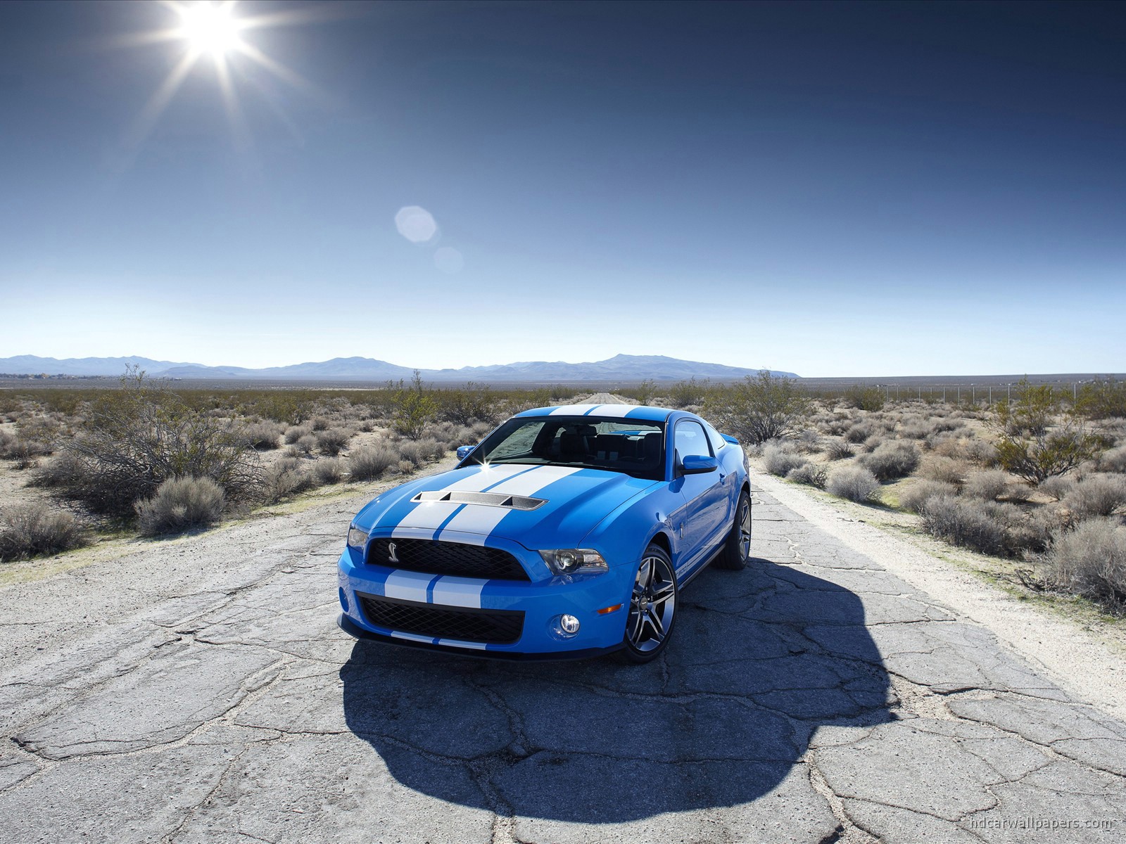 Shelby GT500 Wallpaper Car