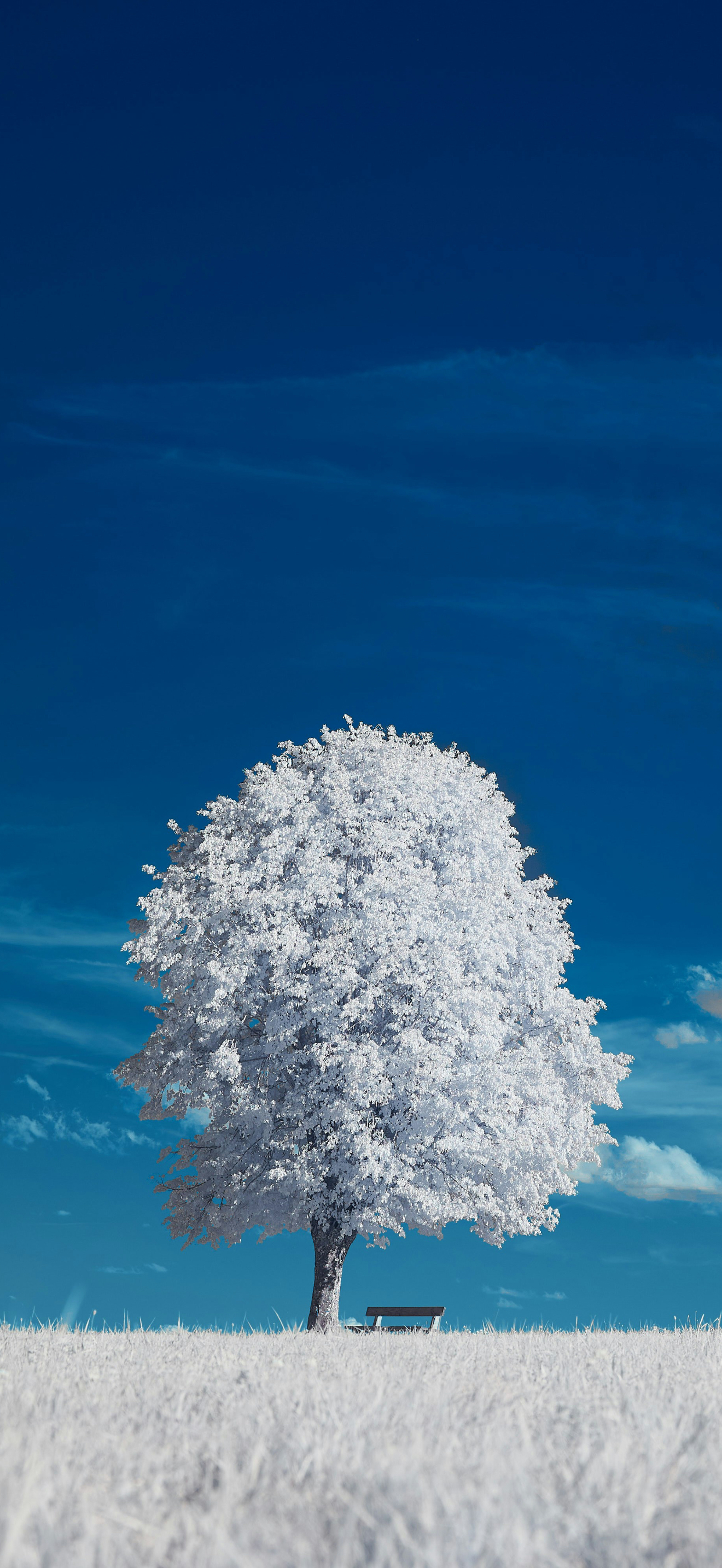 for iPhone 16 Pro Max