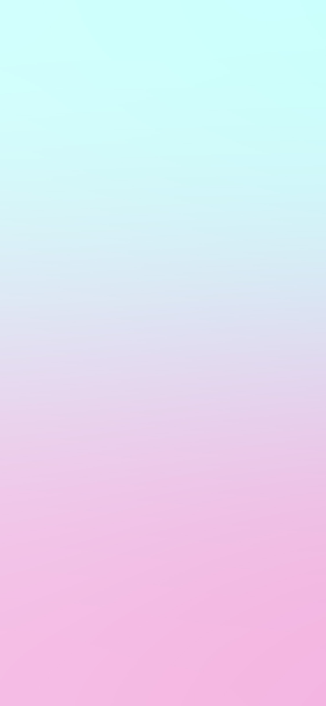 Blur Gradation White Pink Wallpaper