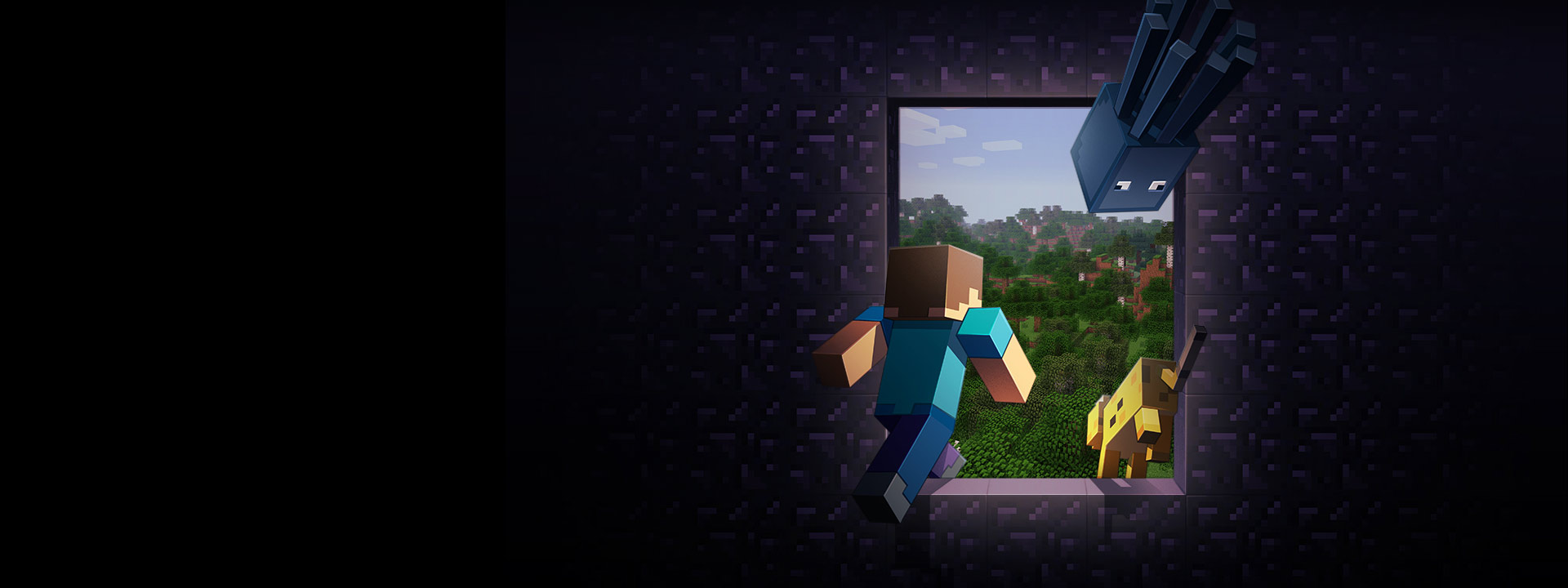 Minecraft Sign Up