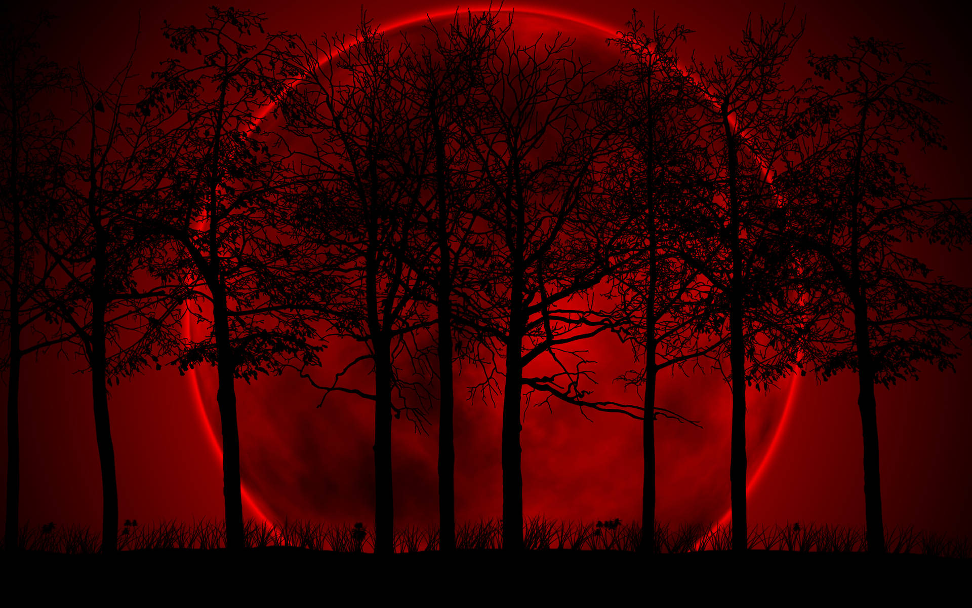 Download Red Moon Night Sky Wallpaper