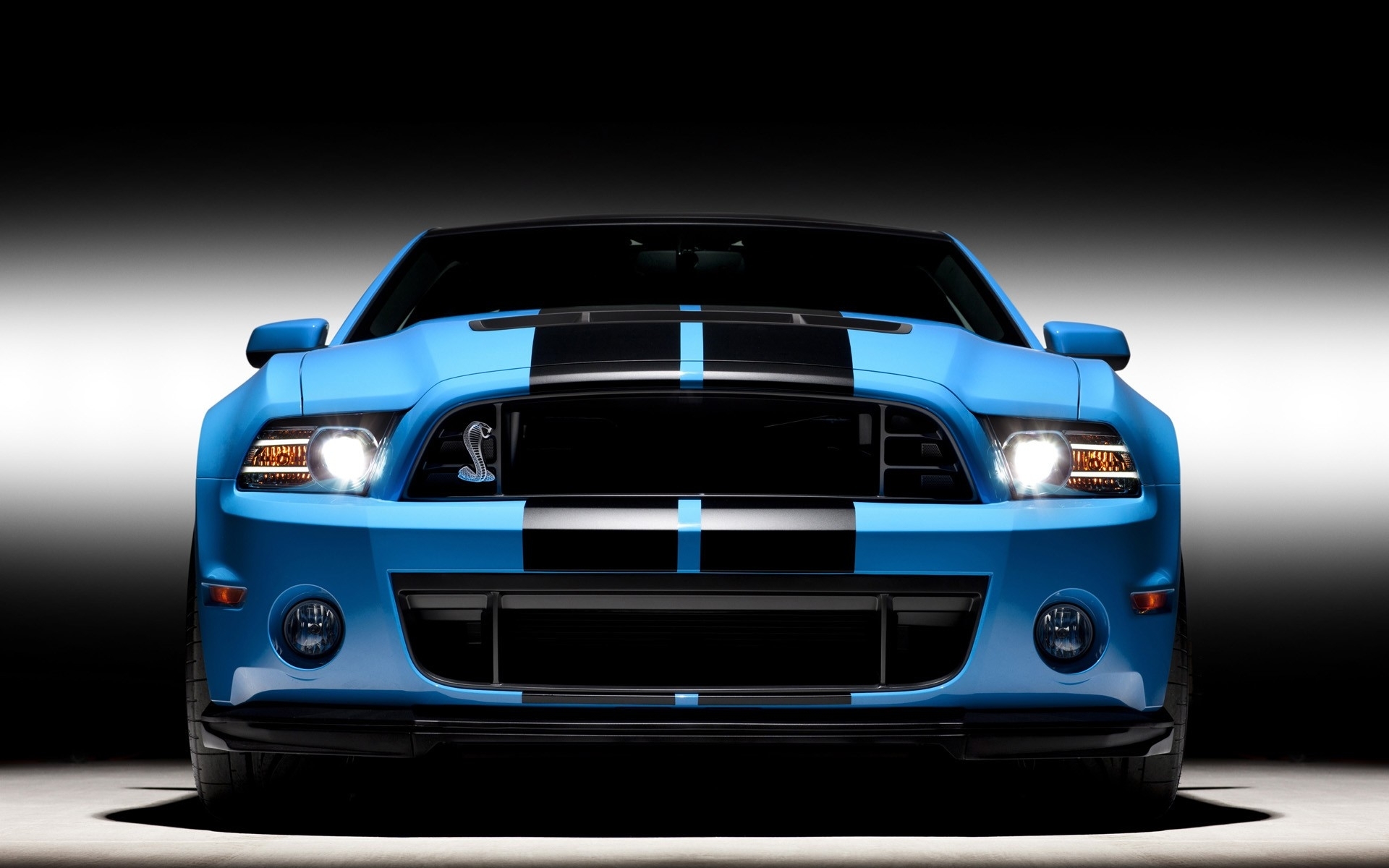 Ford Mustang Shelby GT500 HD Wallpaper