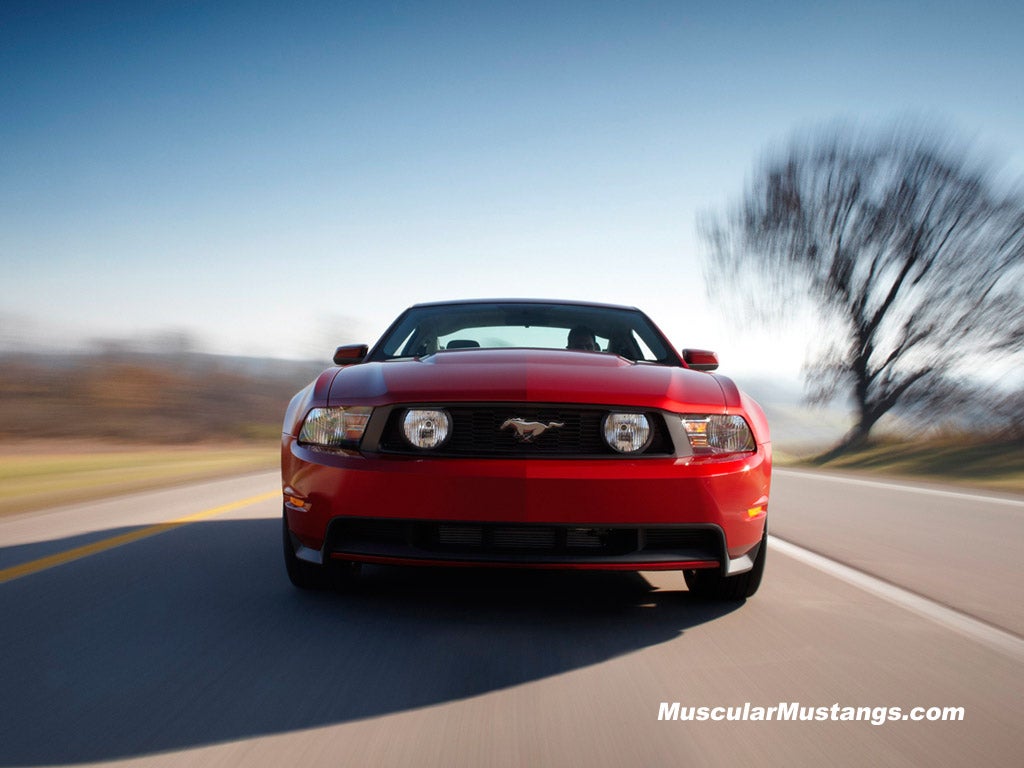 Mustang Wallpaper 1024x768