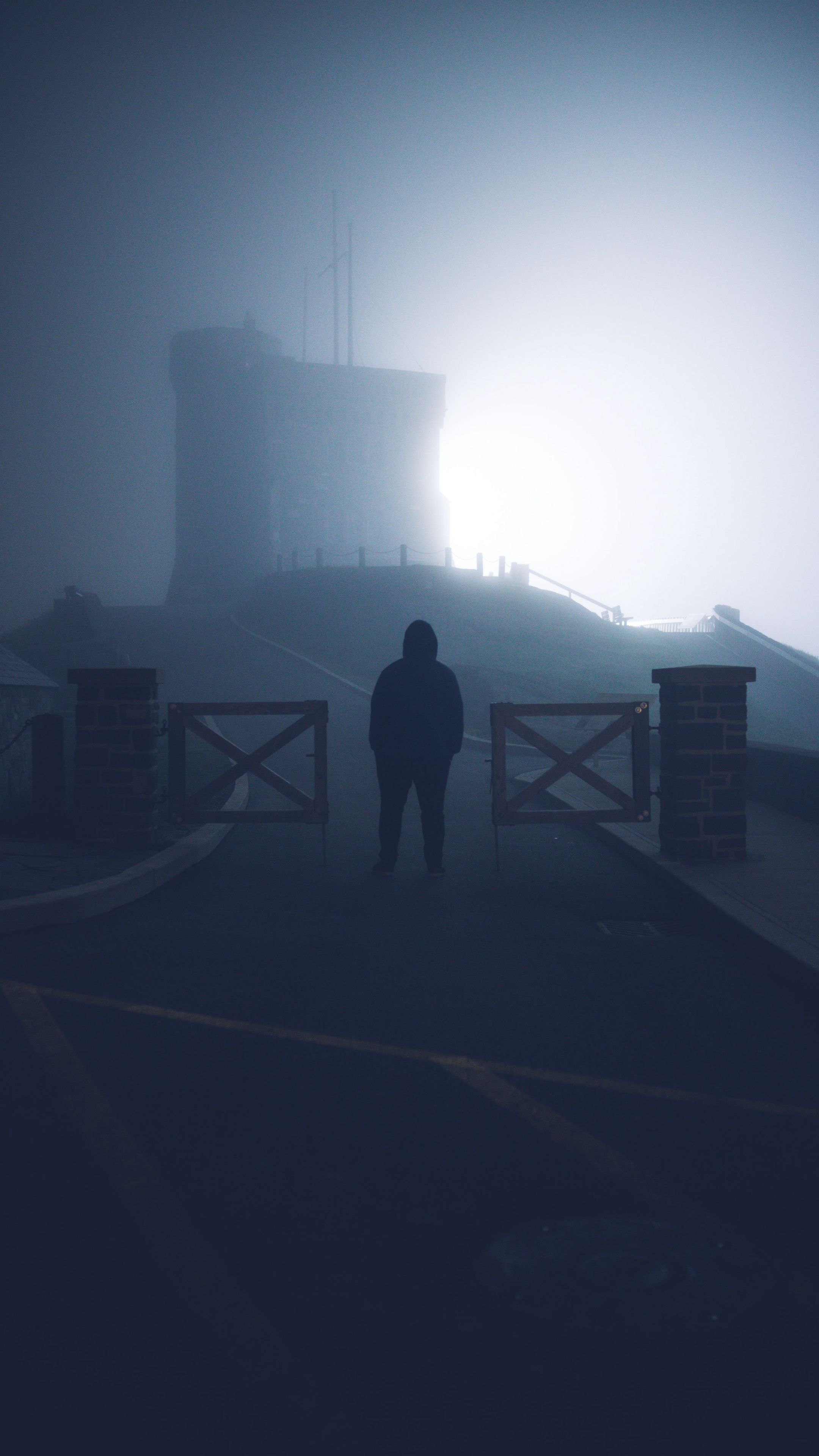 Download wallpaper 2160x3840 loneliness