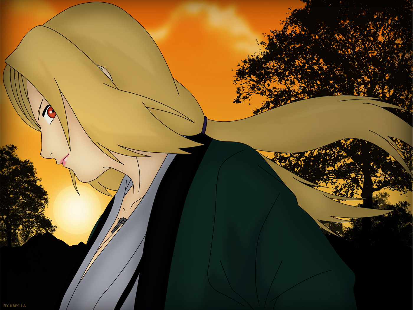 Tsunade and Scan Gallery