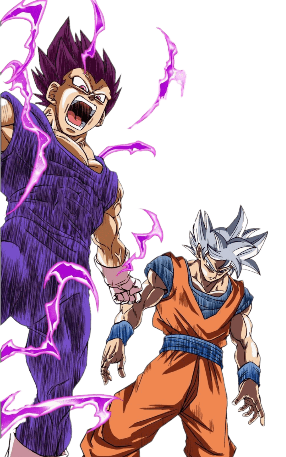 U.I. Goku and U.E. Vegeta png
