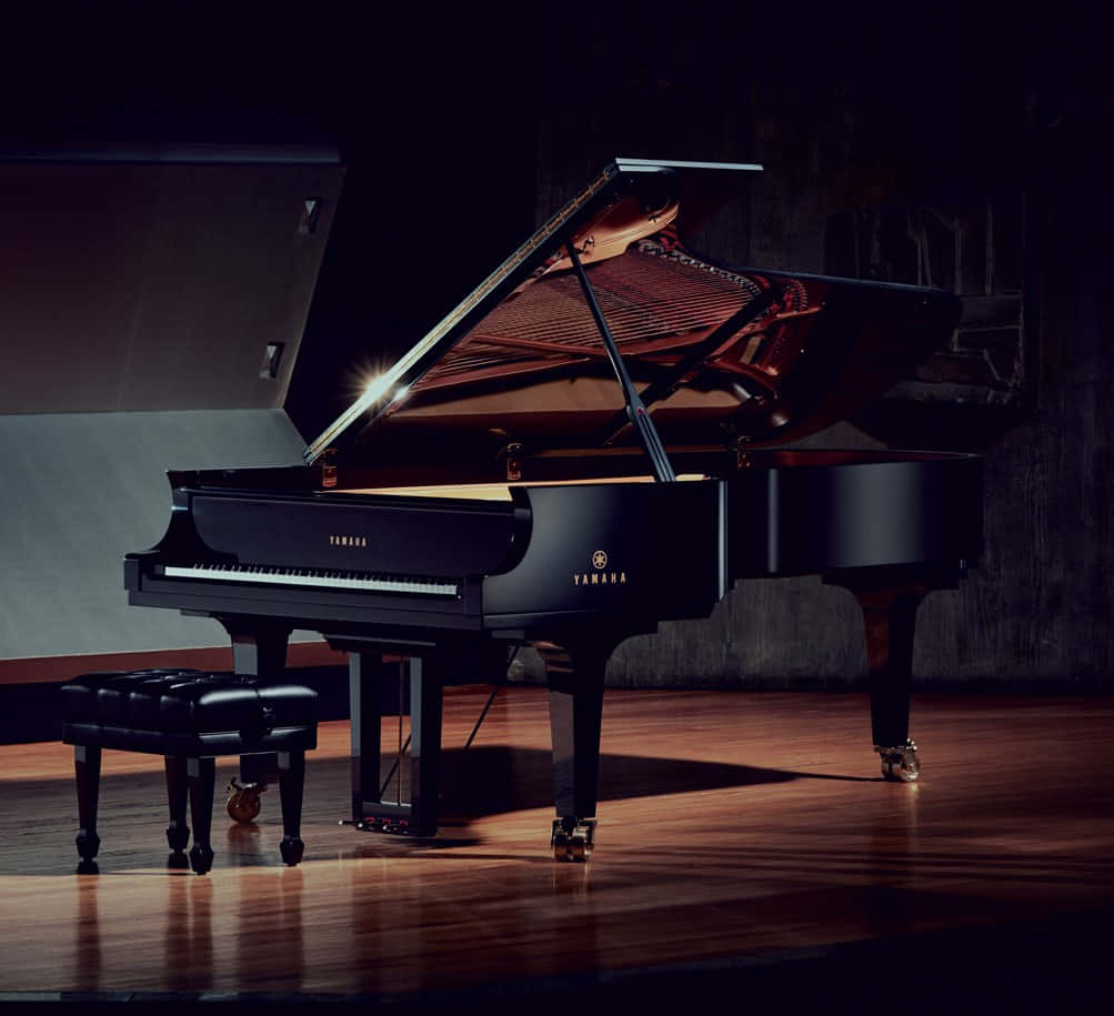 Grand Piano in a Concert Hall