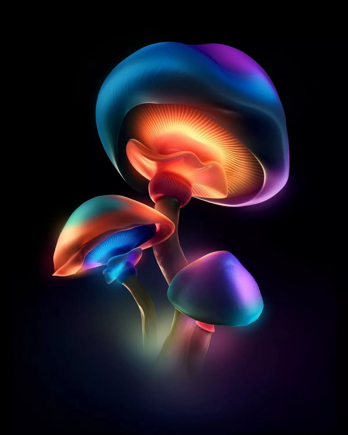 Most Popular Mushroom Wallpaper