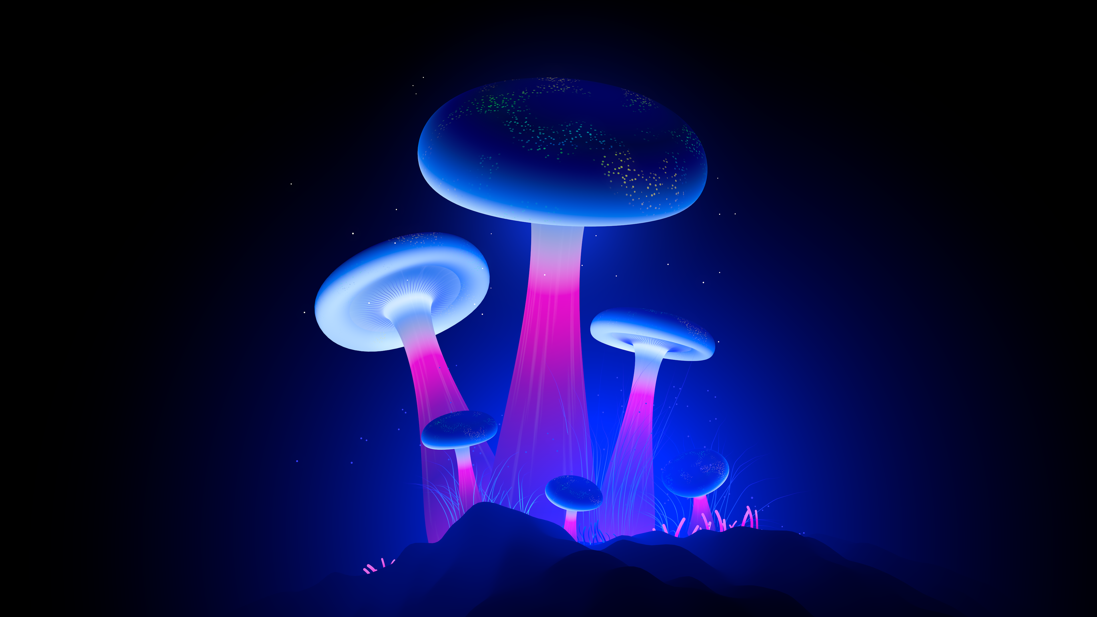 Glowing Wallpaper 4K, Mushrooms