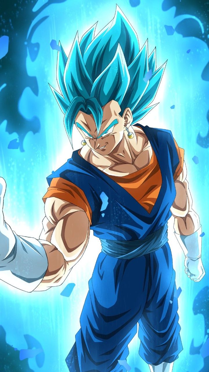 Vegito SSB