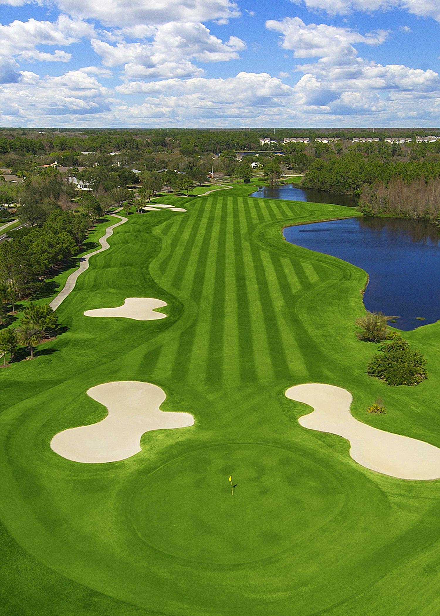 LYLYCTY 5x7ft Golf Course Backdrop