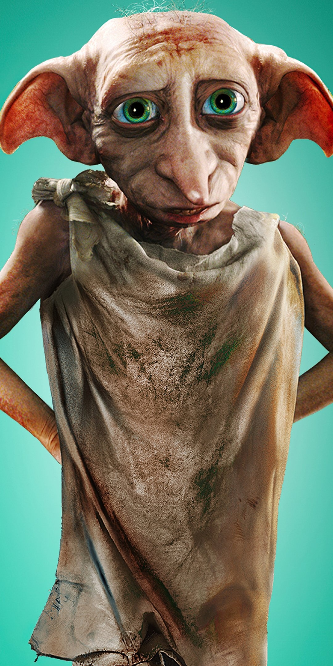 Dobby Wallpaper
