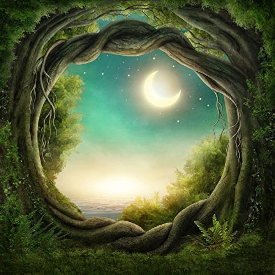 Amazon.com, Yeele 8x8ft Fantasy Forest Backdrop Fairy Tale Ivy Night Moon Stars Landscape Photography Background Baby Girl Boy Adult Portrait Photo Booth Shooting Vinyl Wallpaper Studio Props
