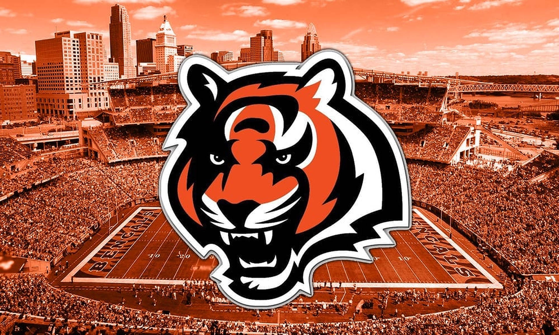 Bengals Wallpaper