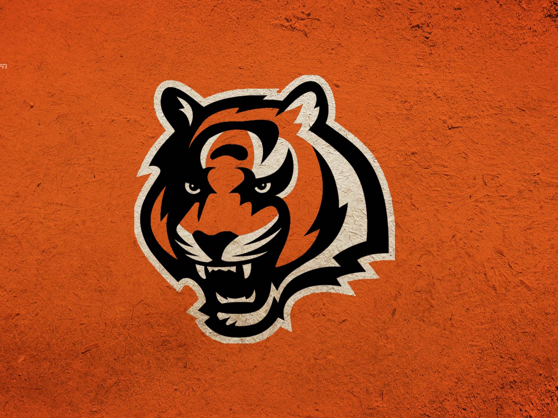 HD Cincinnati Bengals Wallpaper Free
