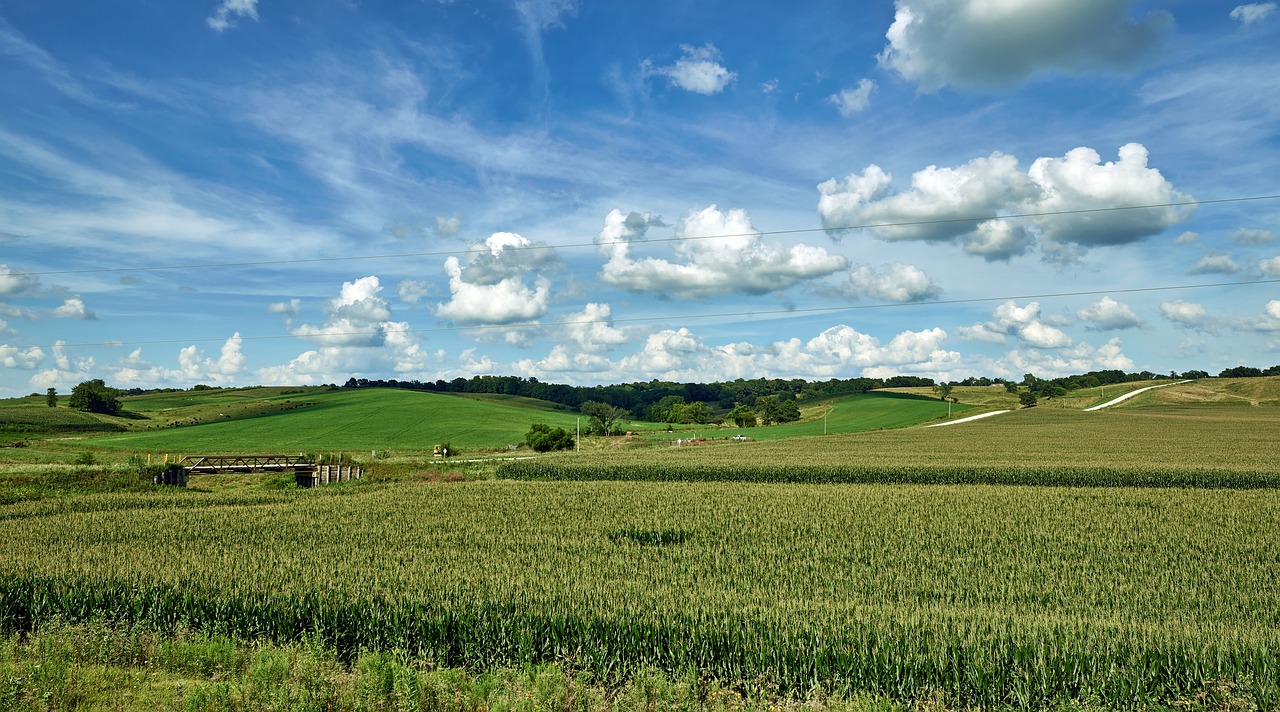 Iowa America Country Road photo