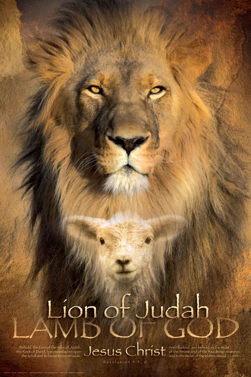 faith: The Lion Of Judah. Wallpaper