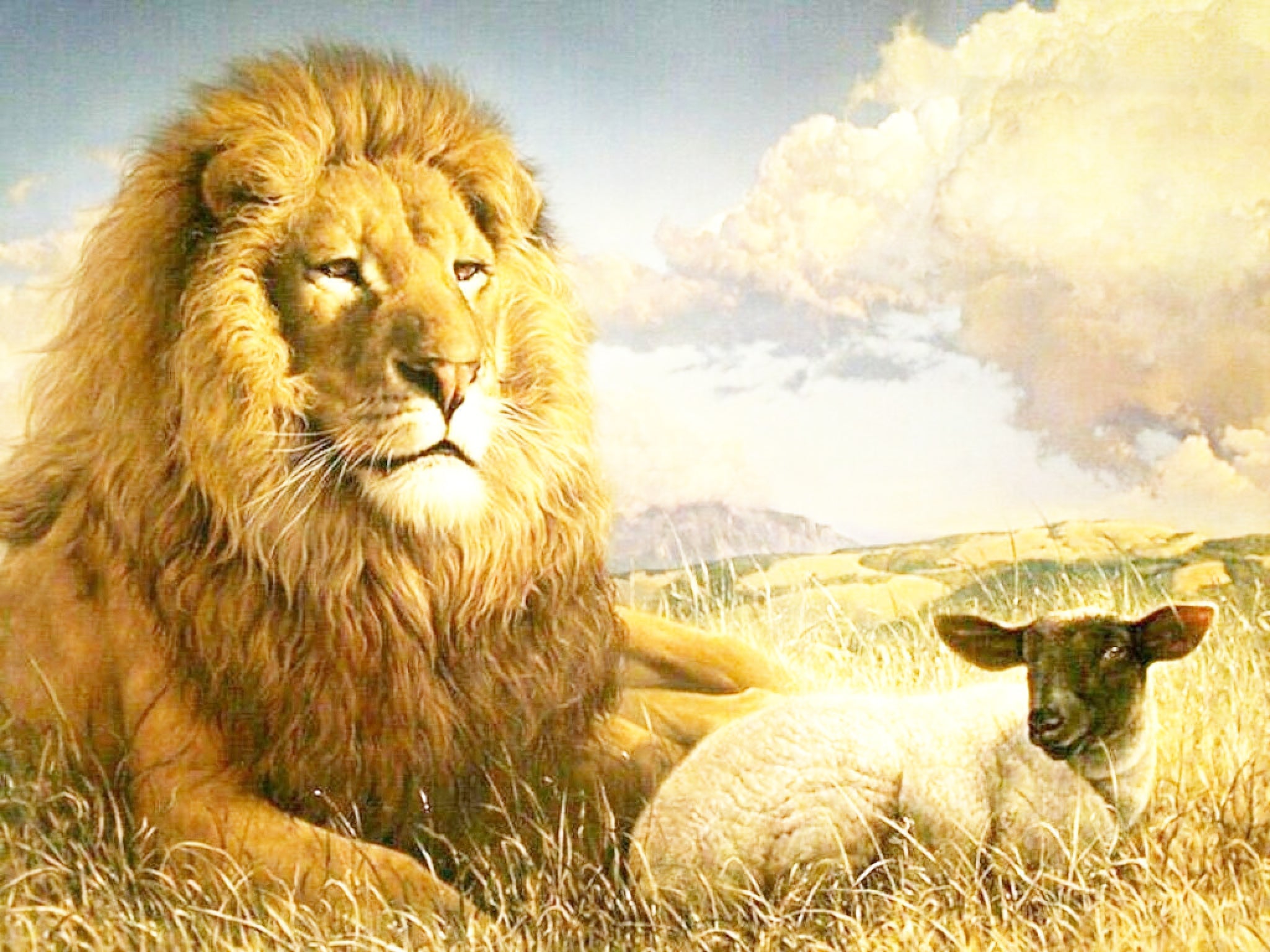 Lion & Lamb Sitting Together