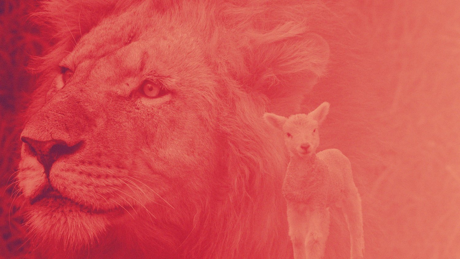 Lion and the Lamb