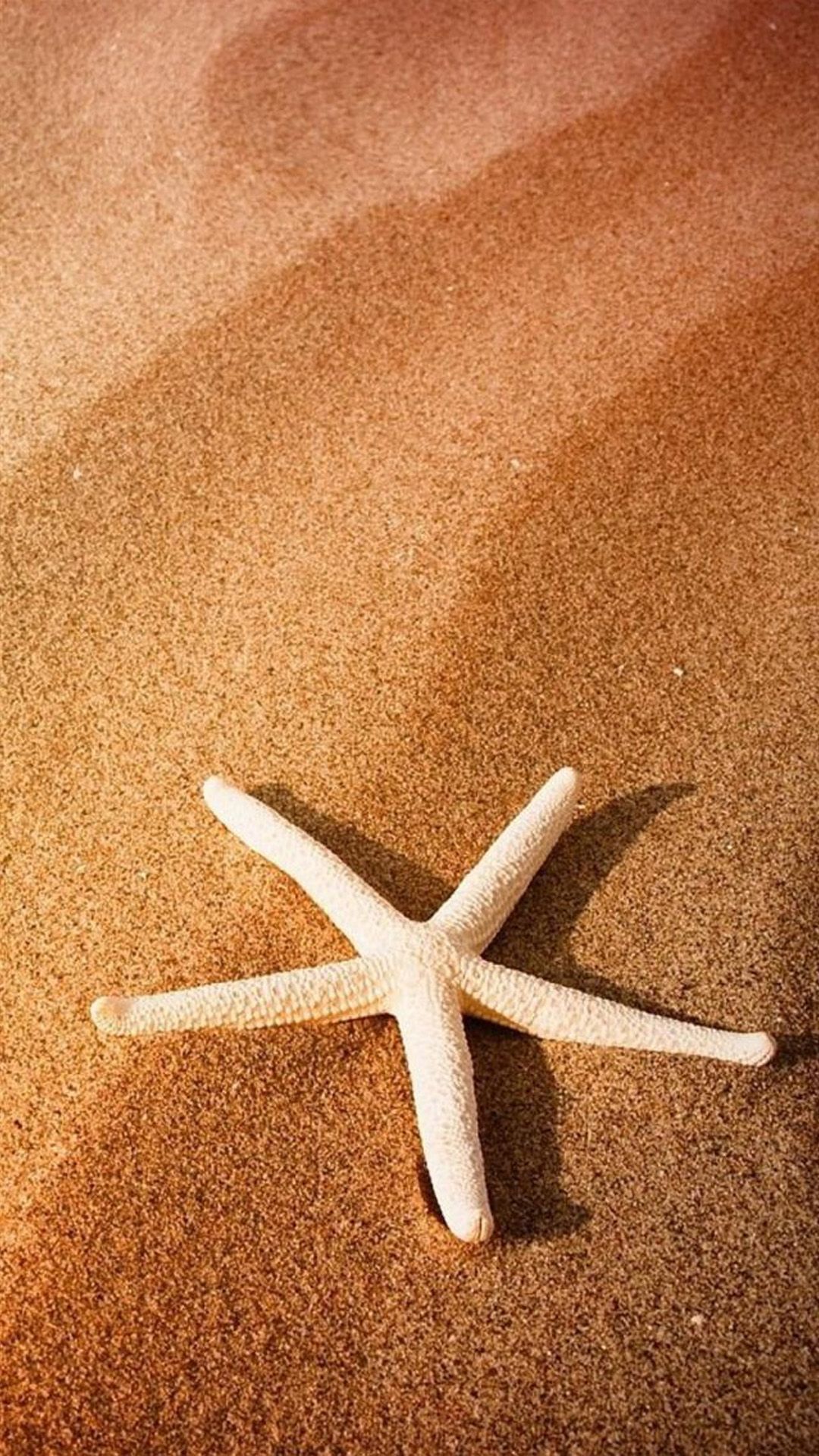 Pure Simple Seaside Beach Starfish