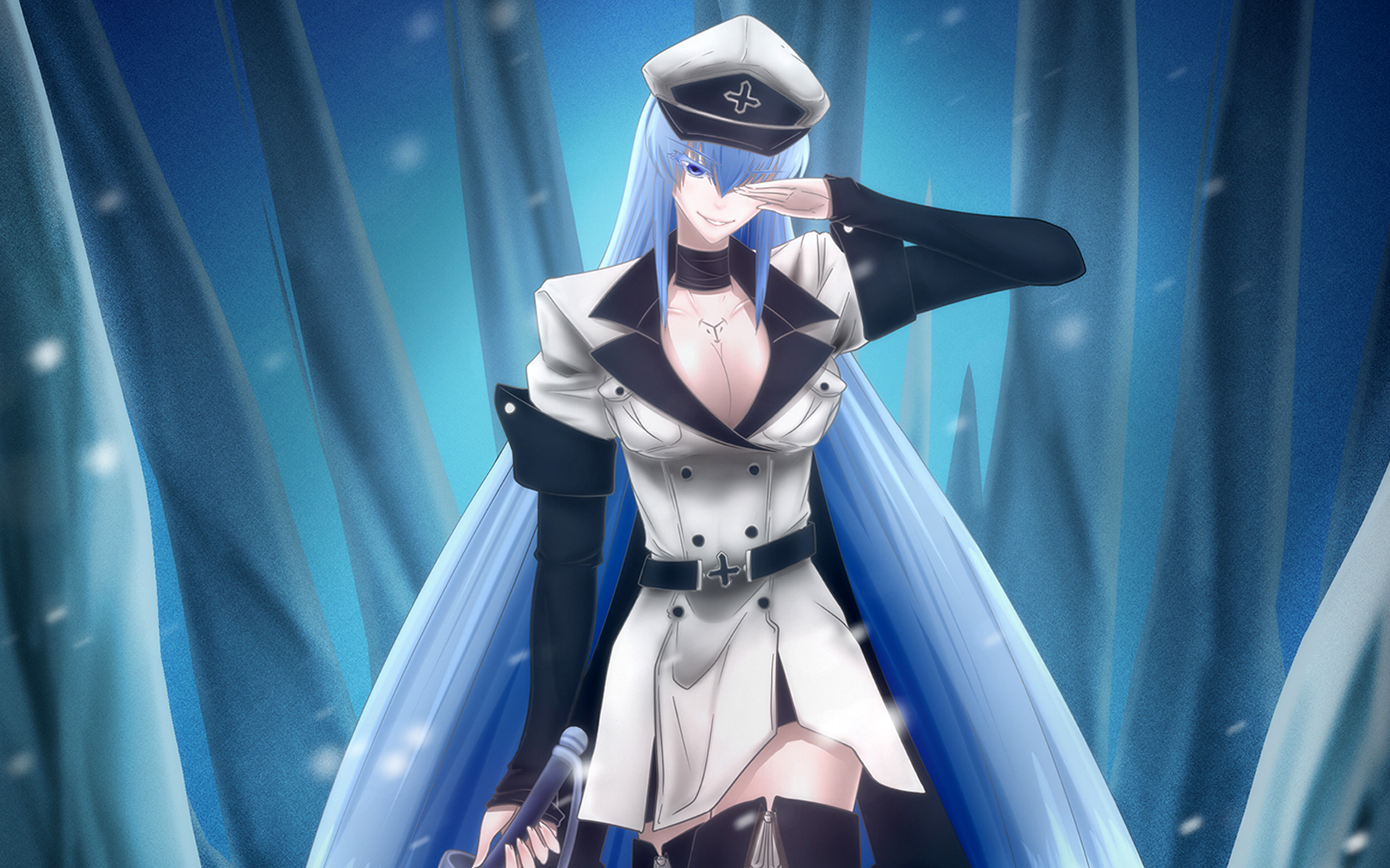 Akame Ga Kill Esdeath Akame Ga Kill