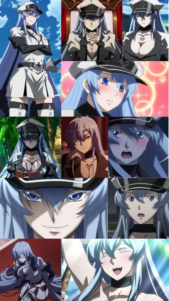 Esdeath (Akame Ga kill) wallpaper, r