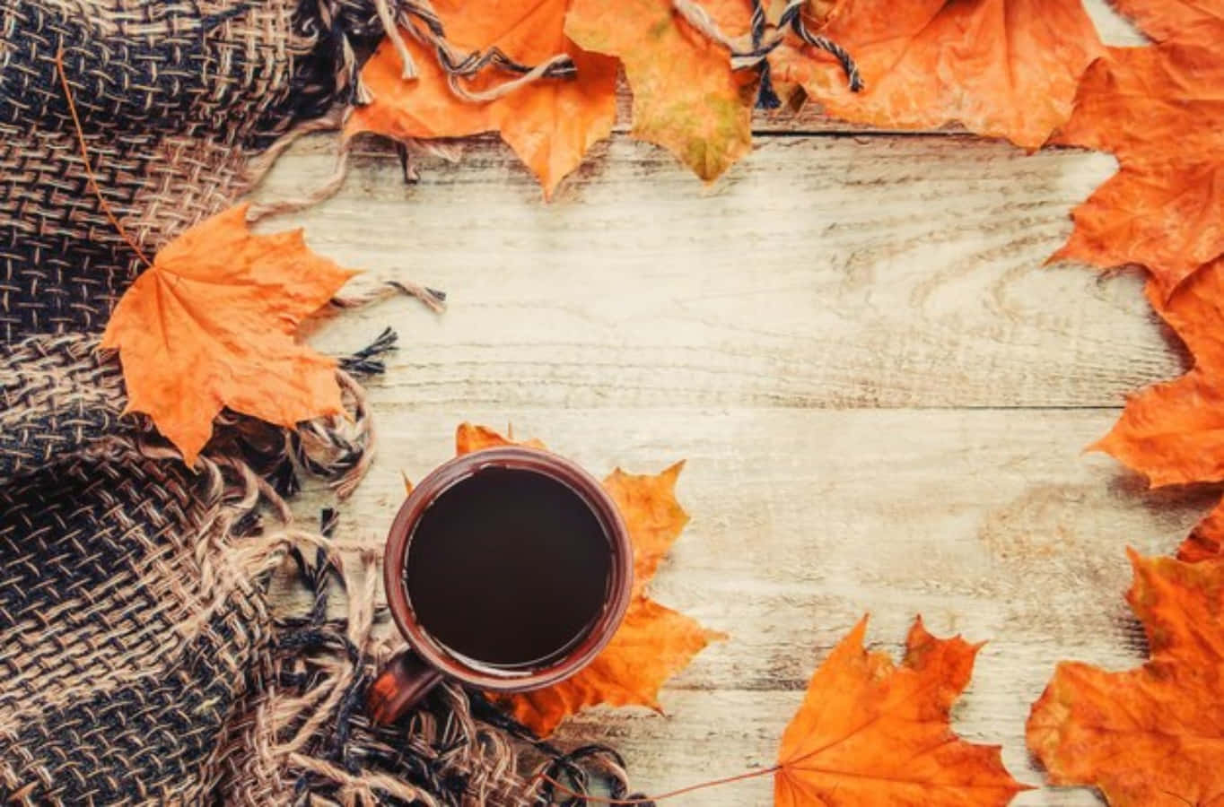 Download Cozy Fall Desktop Maple Leaves And Black Coffee Wallpaper