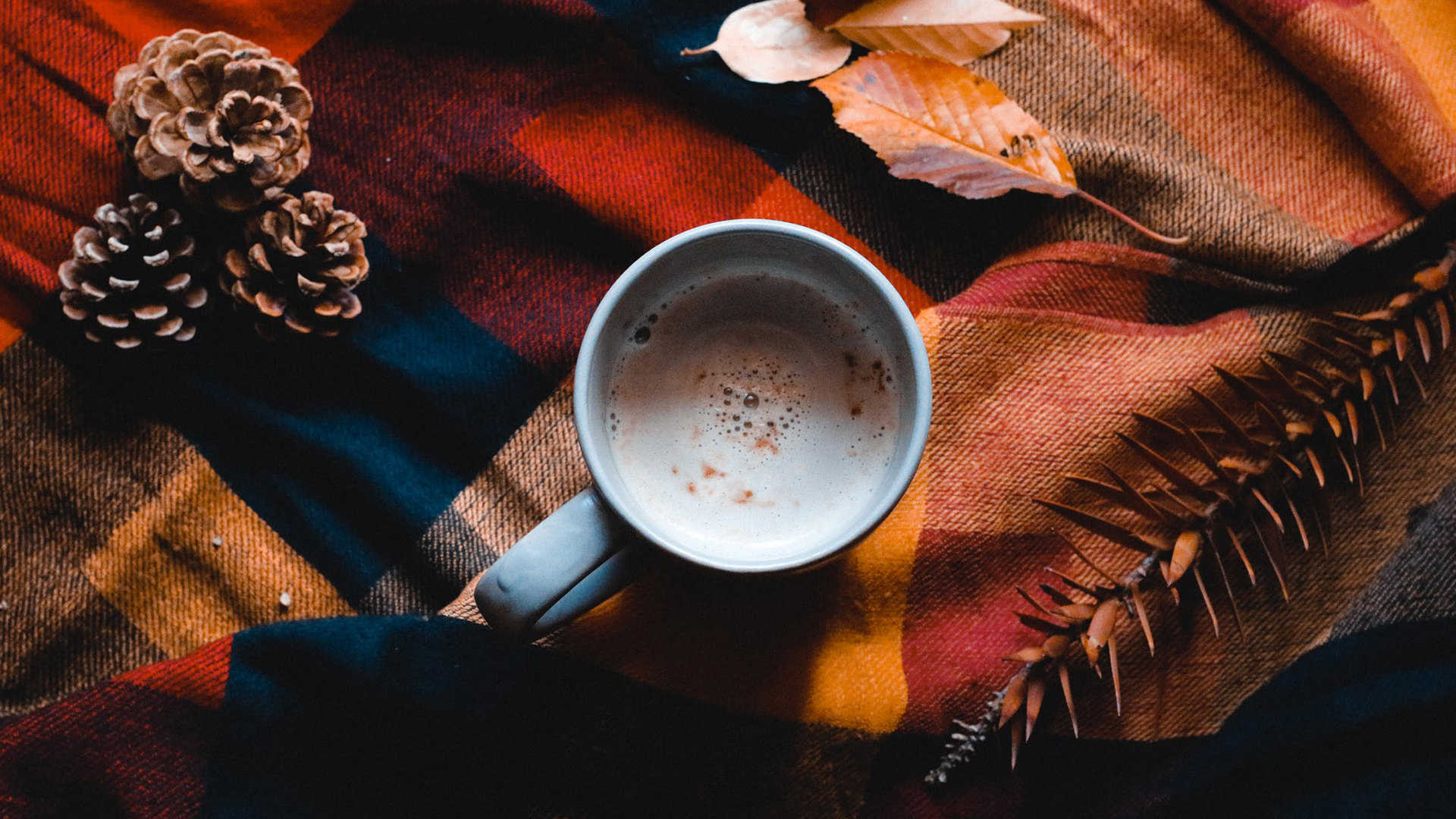 Fundraising Ideas for Fall. DECA