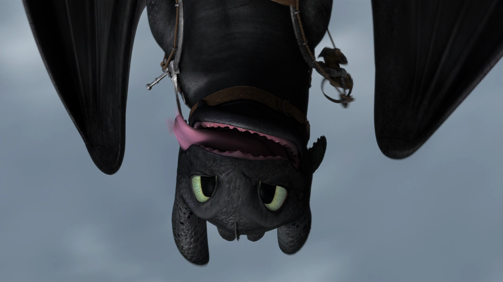To Train Your Dragon) Wallpaper