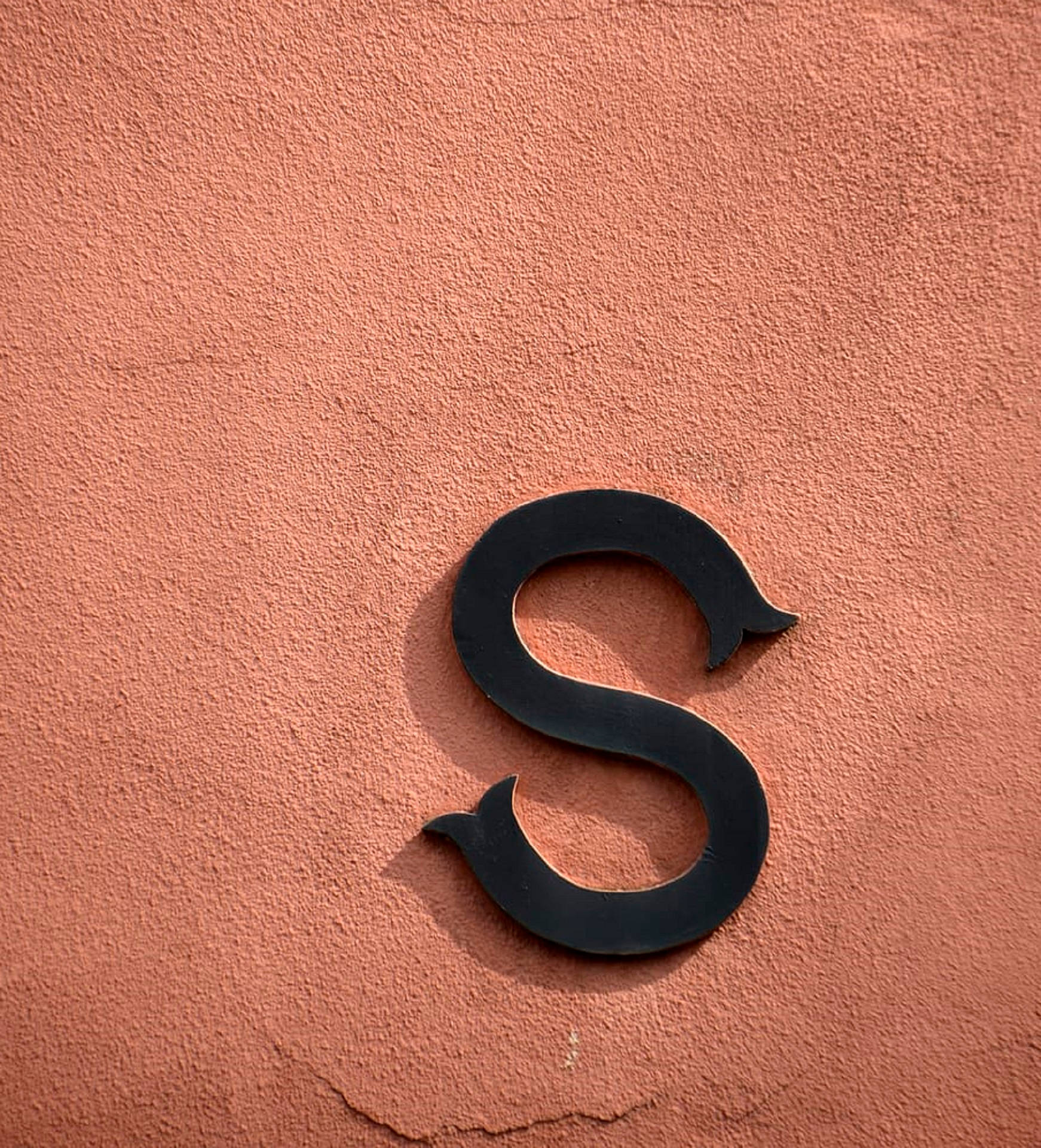 Letter S Picture