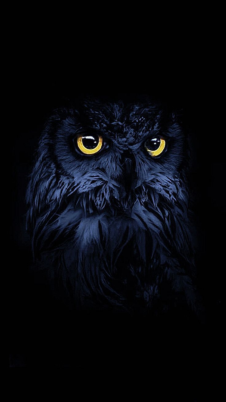 Halloween wallpaper iPhone 13