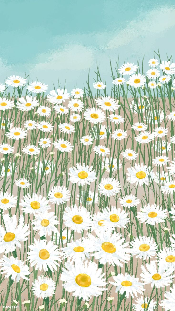 Blooming white daisy flower mobile