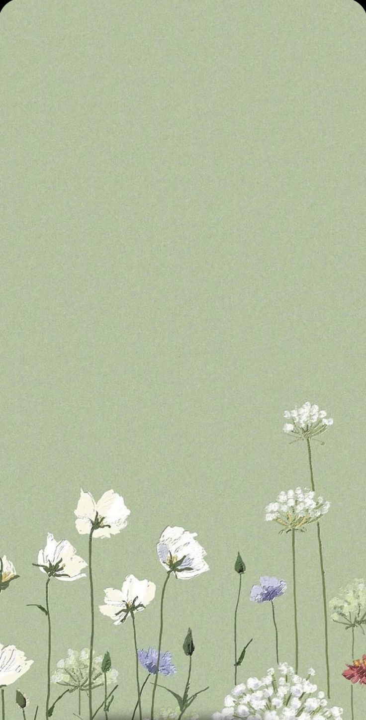 memes. Cute flower wallpaper