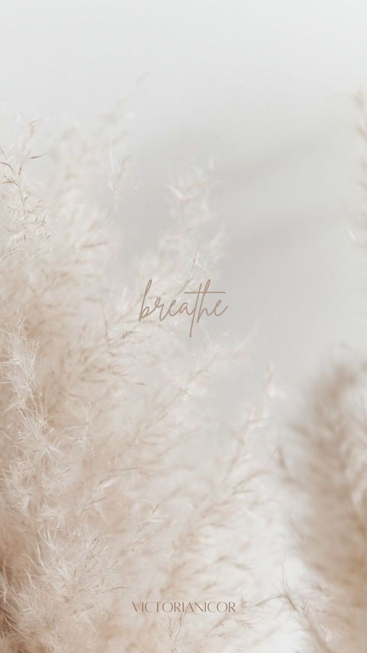 breathe aesthetic wallpaper. iPhone